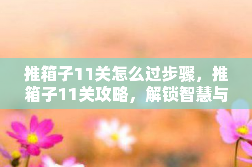 推箱子11关怎么过步骤，推箱子11关攻略，解锁智慧与策略的终极挑战