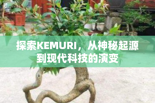 探索KEMURI，从神秘起源到现代科技的演变