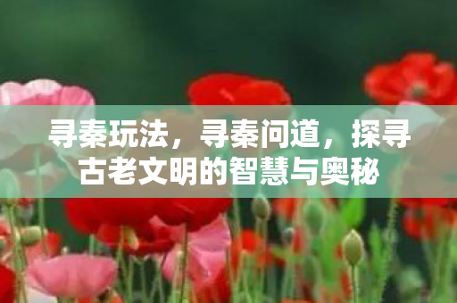 寻秦玩法,寻秦问道,探寻古老文明的智慧与奥秘 寻秦玩法,寻秦问道,探寻古老文明的智慧与奥秘