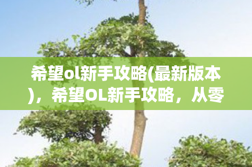 希望ol新手攻略(最新版本),希望OL新手攻略,从零开始,打造你的梦幻之旅 希望ol新手攻略(最新版本),希望OL新手攻略,从零开始,打造你的梦幻之旅