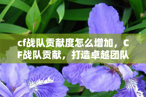 cf战队贡献度怎么增加,CF战队贡献,打造卓越团队,共赴荣耀征程 cf战队贡献度怎么增加,CF战队贡献,打造卓越团队,共赴荣耀征程
