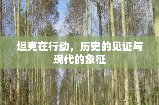 坦克在行动,历史的见证与现代的象征 坦克在行动,历史的见证与现代的象征