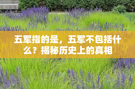 五军指的是，五军不包括什么？揭秘历史上的真相