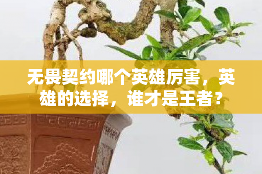 无畏契约哪个英雄厉害，英雄的选择，谁才是王者？