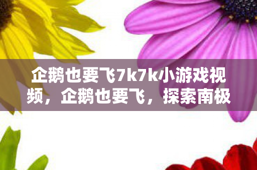 企鹅也要飞7k7k小游戏视频，企鹅也要飞，探索南极冰原的奇妙旅程