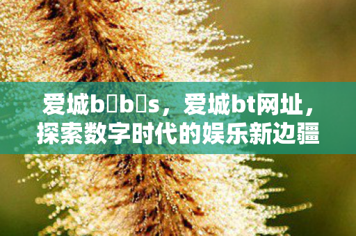 爱城b b s，爱城bt网址，探索数字时代的娱乐新边疆