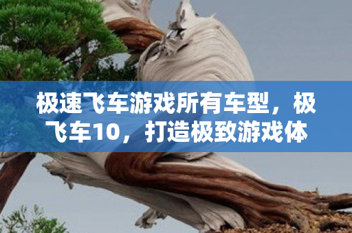 极速飞车游戏所有车型，极飞车10，打造极致游戏体验的硬件需求
