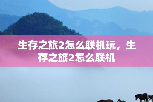 生存之旅2怎么联机玩，生存之旅2怎么联机