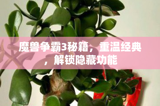 魔兽争霸3秘籍，重温经典，解锁隐藏功能