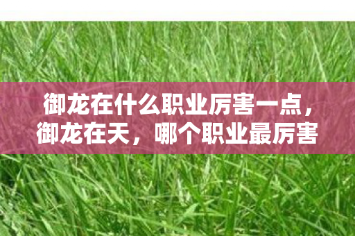 御龙在什么职业厉害一点，御龙在天，哪个职业最厉害？
