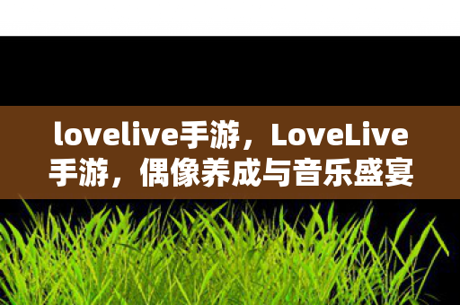lovelive手游，LoveLive手游，偶像养成与音乐盛宴的完美结合