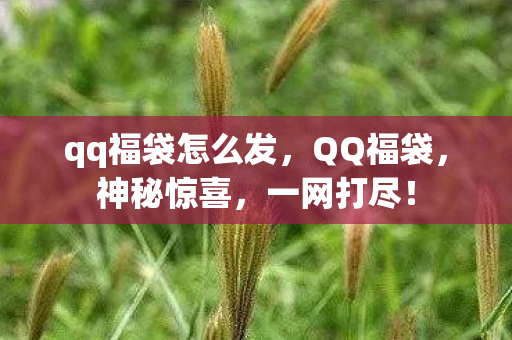 qq福袋怎么发，QQ福袋，神秘惊喜，一网打尽！