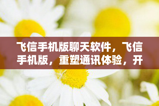 飞信手机版聊天软件，飞信手机版，重塑通讯体验，开启高效生活新篇章