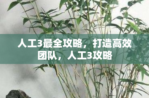 人工3最全攻略，打造高效团队，人工3攻略