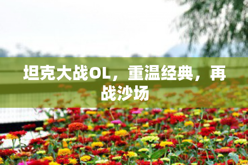 坦克大战OL,重温经典,再战沙场 坦克大战OL,重温经典,再战沙场