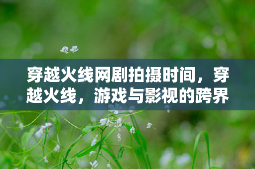 穿越火线网剧拍摄时间，穿越火线，游戏与影视的跨界碰撞，热血青春即将上演荧屏之战！