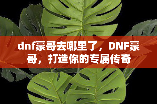 dnf豪哥去哪里了,DNF豪哥,打造你的专属传奇 dnf豪哥去哪里了,DNF豪哥,打造你的专属传奇