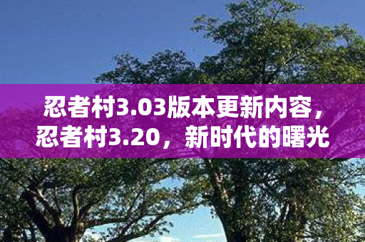 忍者村3.03版本更新内容，忍者村3.20，新时代的曙光