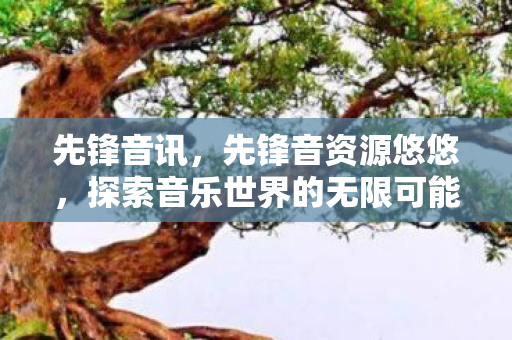 先锋音讯，先锋音资源悠悠，探索音乐世界的无限可能