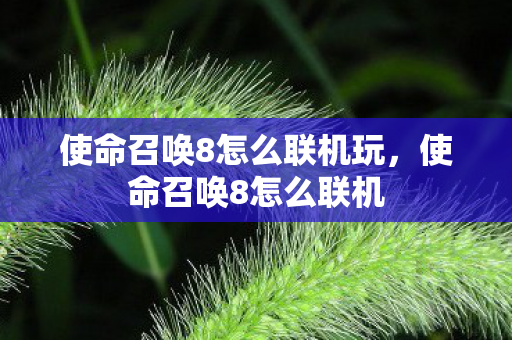 使命召唤8怎么联机玩，使命召唤8怎么联机
