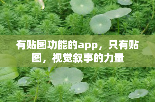 有贴图功能的app,只有贴图,视觉叙事的力量 有贴图功能的app,只有贴图,视觉叙事的力量