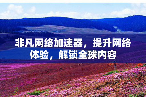 非凡网络加速器，提升网络体验，解锁全球内容