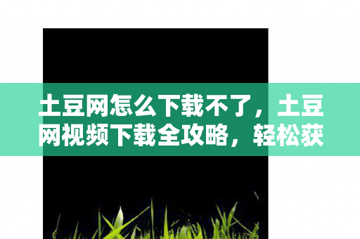 土豆网视频下载全攻略图片