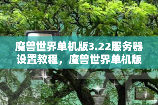 22服务器设置教程图片