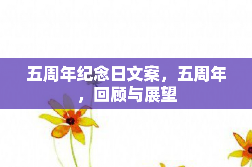 五周年纪念日文案，五周年，回顾与展望