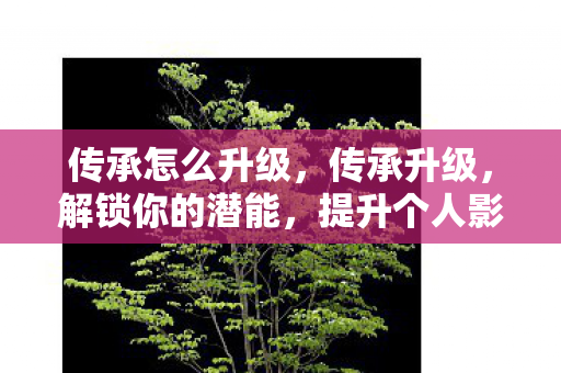 传承怎么升级，传承升级，解锁你的潜能，提升个人影响力