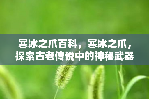寒冰之爪百科，寒冰之爪，探索古老传说中的神秘武器
