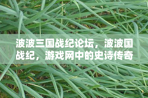 波波三国战纪论坛，波波国战纪，游戏网中的史诗传奇