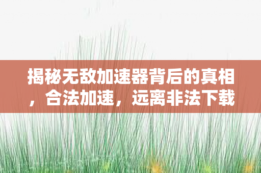 揭秘无敌加速器背后的真相，合法加速，远离非法下载