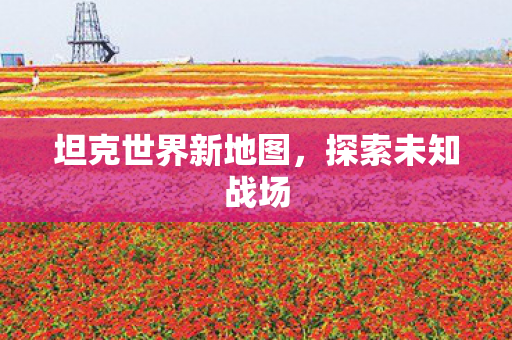 坦克世界新地图，探索未知战场