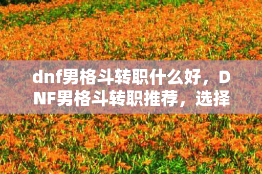 dnf男格斗转职什么好图片