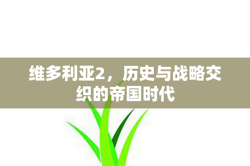 维多利亚2,历史与战略交织的帝国时代 维多利亚2,历史与战略交织的帝国时代