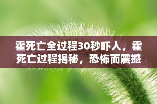 霍死亡全过程30秒吓人，霍死亡过程揭秘，恐怖而震撼的真相（标题）