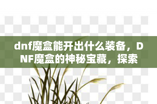dnf魔盒能开出什么装备，DNF魔盒的神秘宝藏，探索未知的乐趣