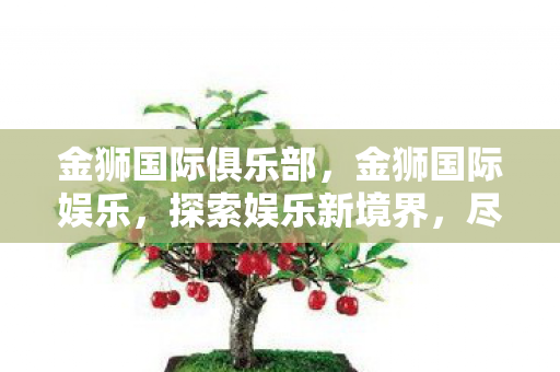 金狮国际俱乐部图片