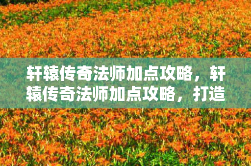 轩辕传奇法师加点攻略图片