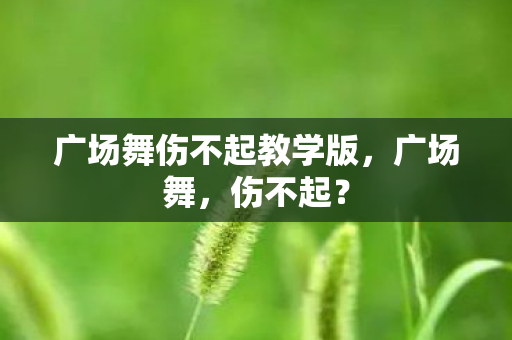 广场舞伤不起教学版图片