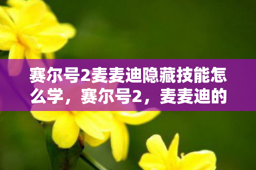 赛尔号2麦麦迪隐藏技能怎么学图片