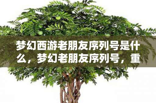 梦幻西游老朋友序列号是什么，梦幻老朋友序列号，重温经典，再续前缘