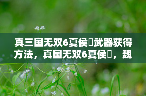 真三国无双6夏侯惇武器获得方法，真国无双6夏侯惇，魏国的铁血守护者