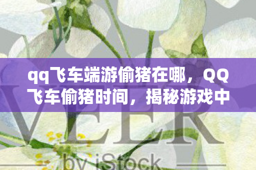 qq飞车端游偷猪在哪，QQ飞车偷猪时间，揭秘游戏中的神秘时刻