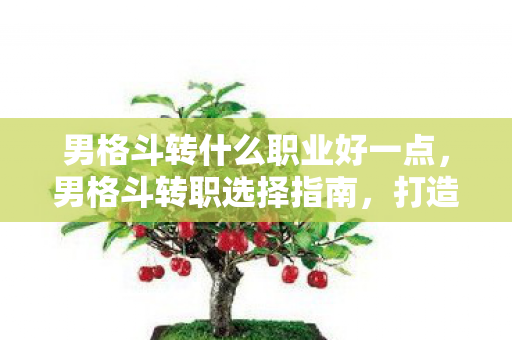 男格斗转什么职业好一点，男格斗转职选择指南，打造你的战斗巅峰