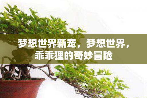 梦想世界新宠，梦想世界，乖乖狸的奇妙冒险