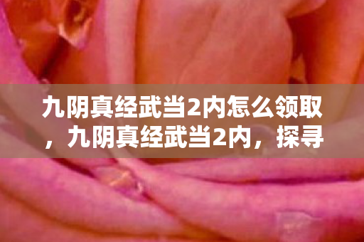 九阴真经武当2内怎么领取,九阴真经武当2内,探寻武学真谛,领略道家风采 九阴真经武当2内怎么领取,九阴真经武当2内,探寻武学真谛,领略道家风采