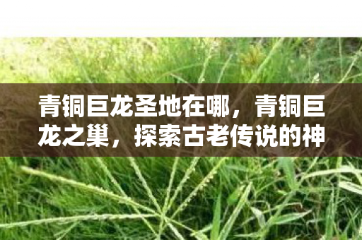 青铜巨龙圣地在哪,青铜巨龙之巢,探索古老传说的神秘之地 青铜巨龙圣地在哪,青铜巨龙之巢,探索古老传说的神秘之地