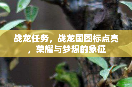 战龙任务，战龙国图标点亮，荣耀与梦想的象征